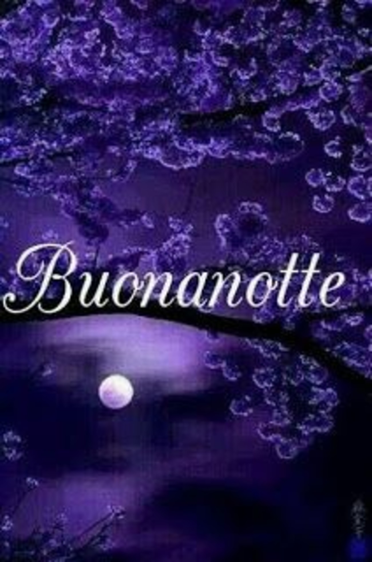 Dolce notte immagini (4)