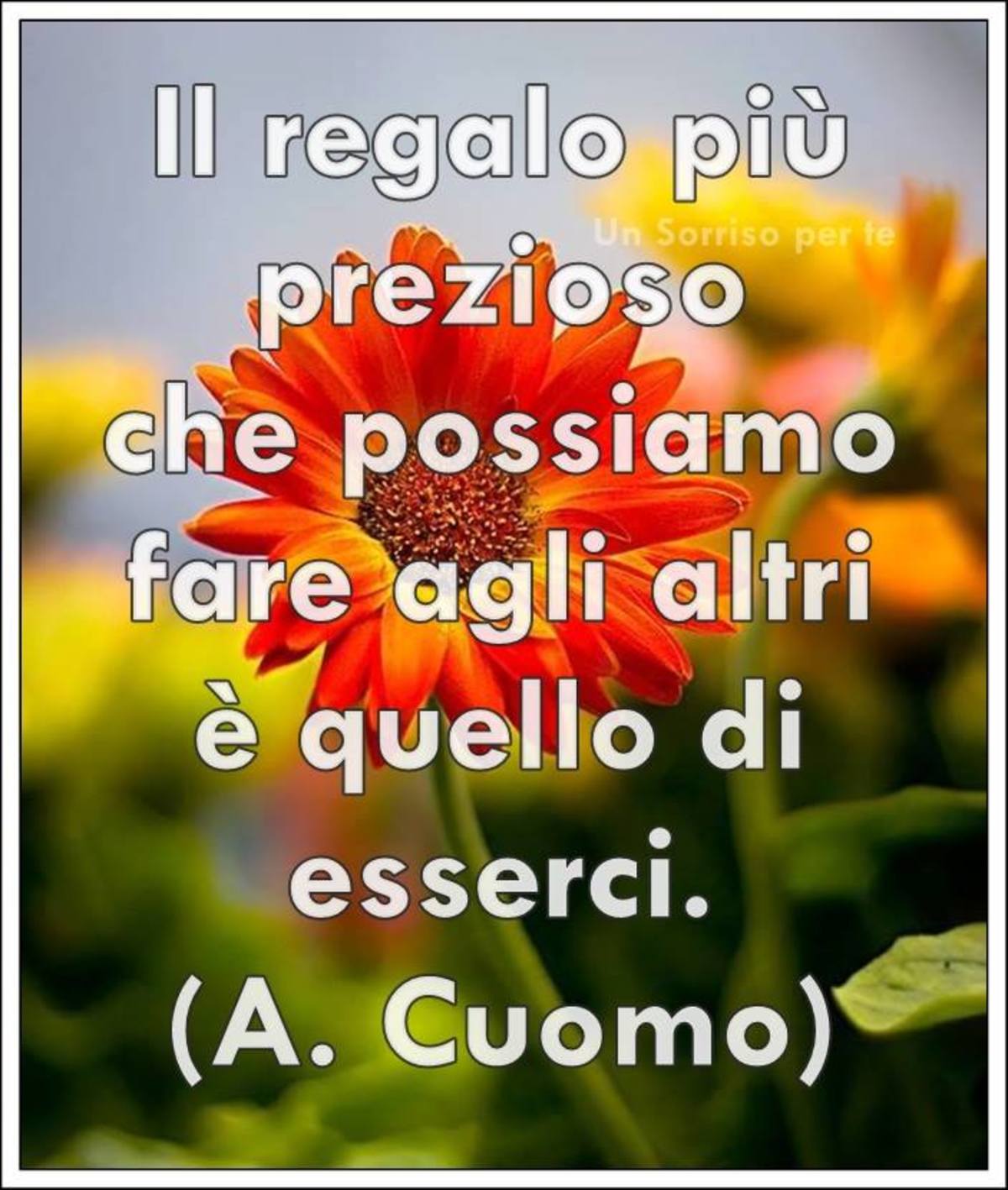 Dolci frasi (2)