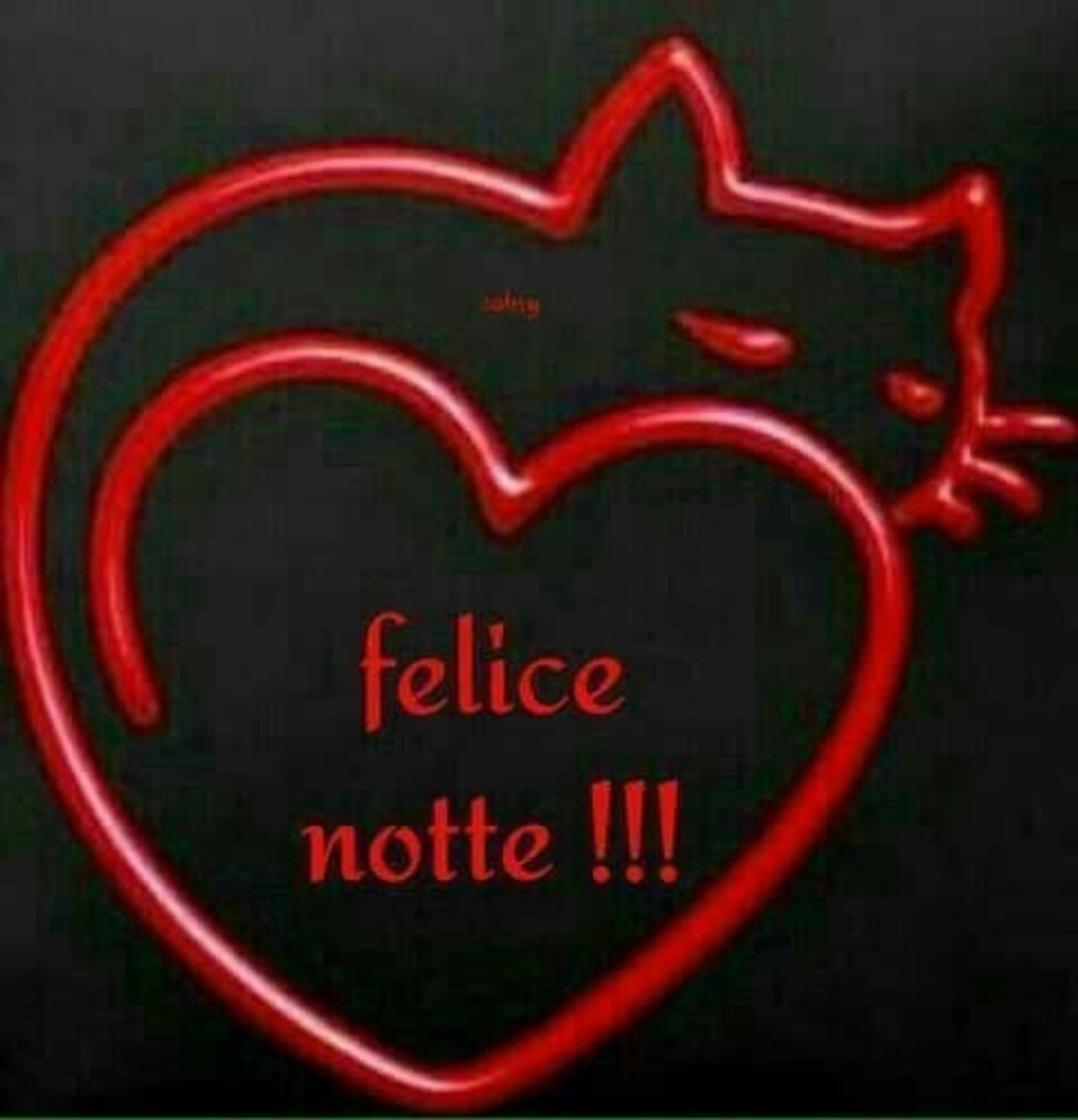 Felice notte immagini