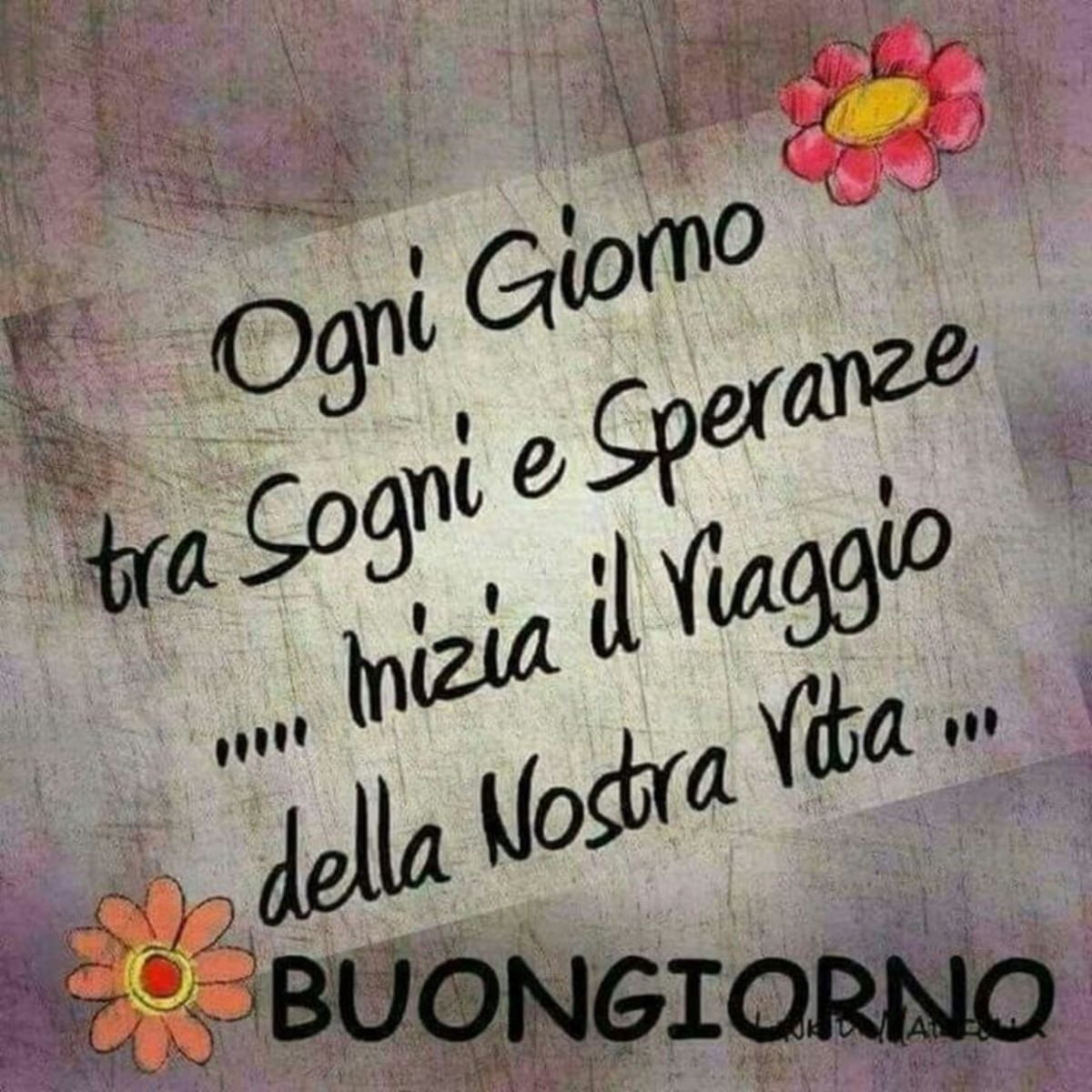 Frasi belle del buongiorno