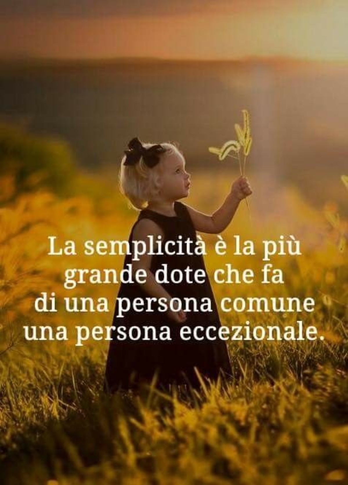 Frasi belle immagini - BuongiornoATe.it