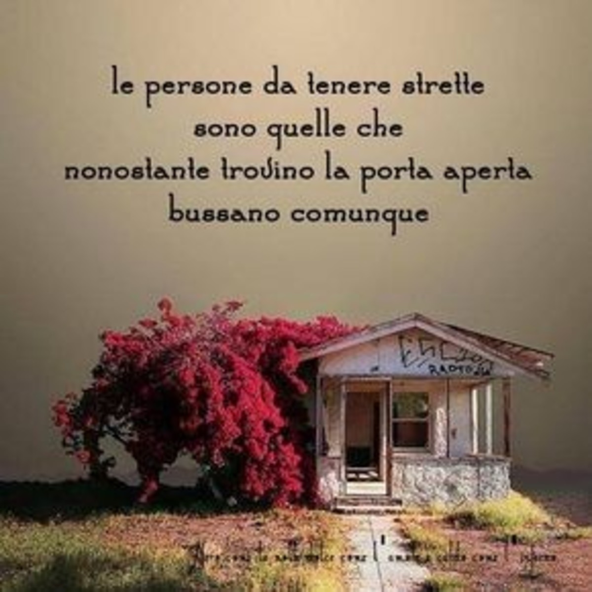 Frasi belle su belle persone