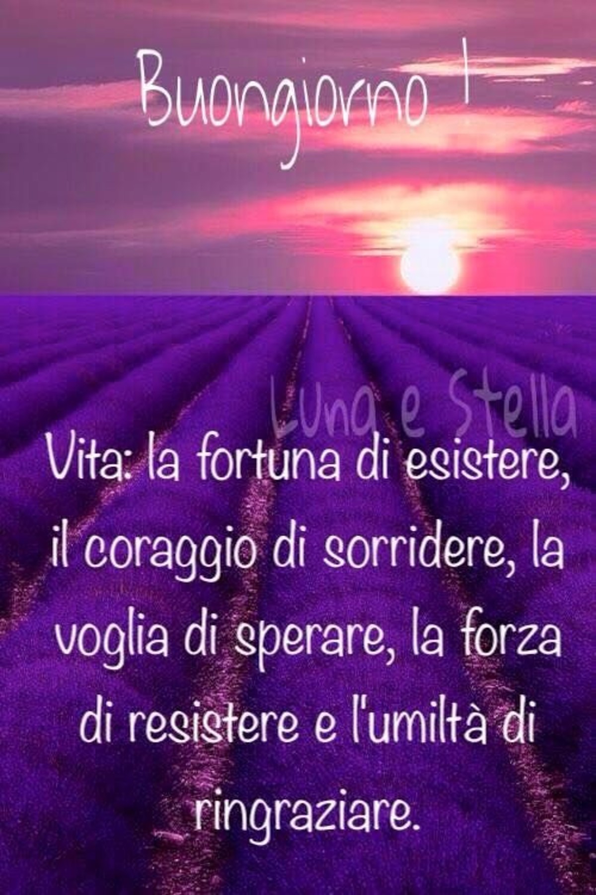 Frasi bellissime buongiorno da mandare (1)