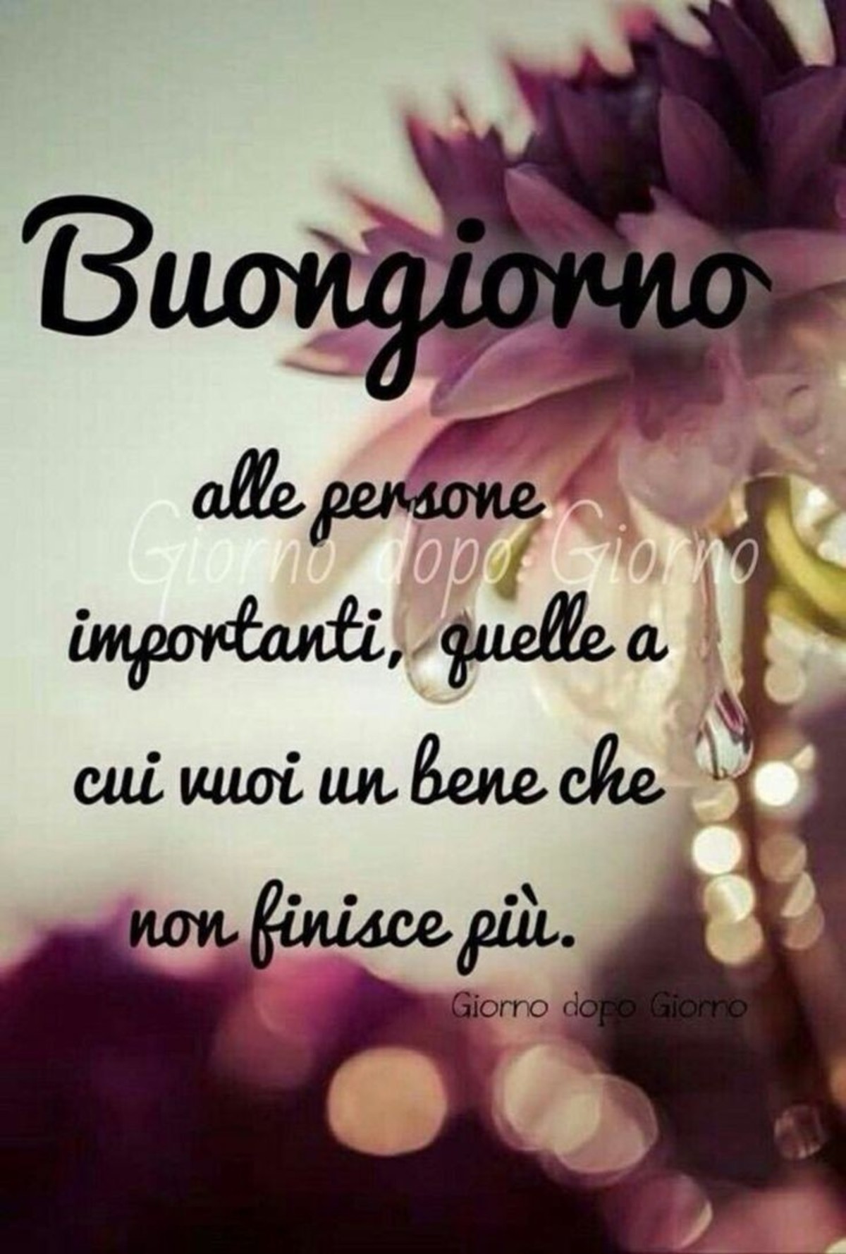 Frasi bellissime buongiorno da mandare (4)