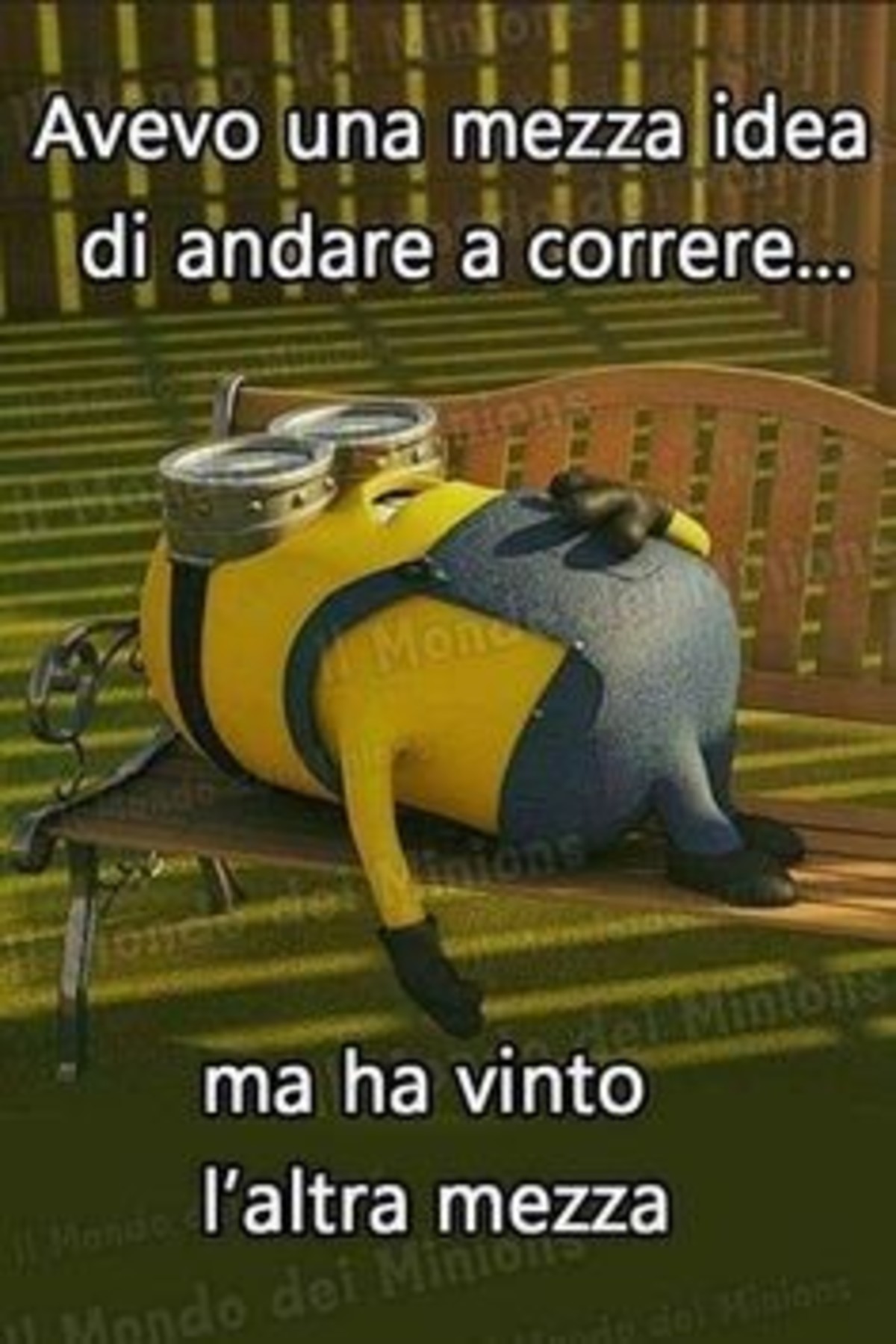 Frasi Da Ridere 3 Buongiornoate It