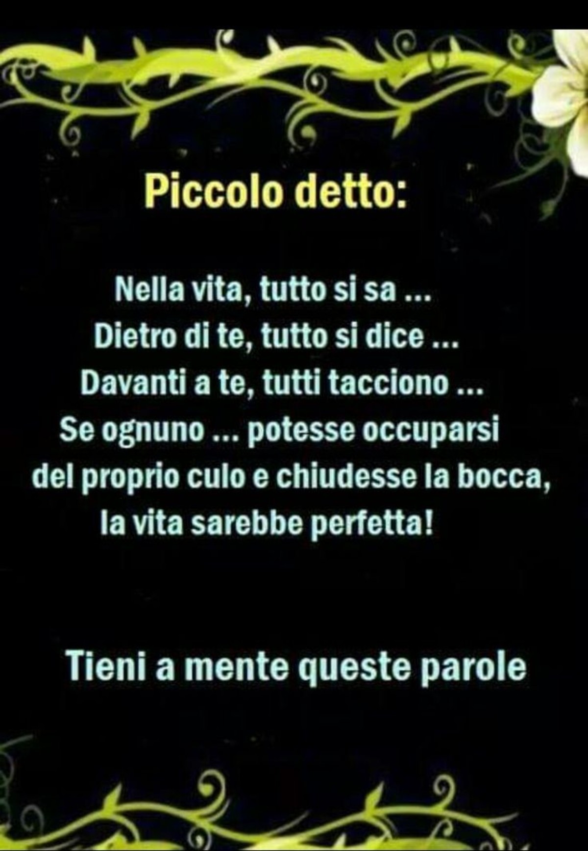 Frasi di detti popolari (2)