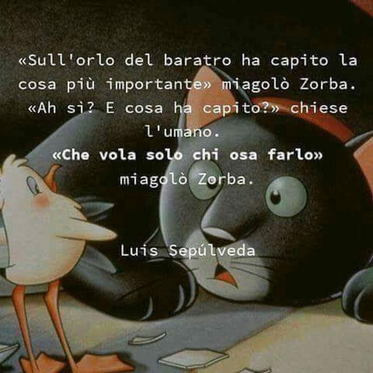 Frasi di libri