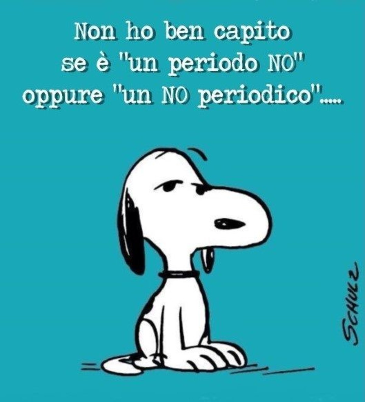 Frasi divertenti con Snoopy (2)