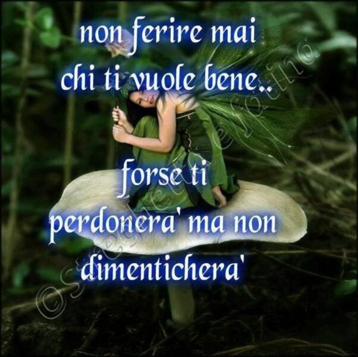 Frasi nuove