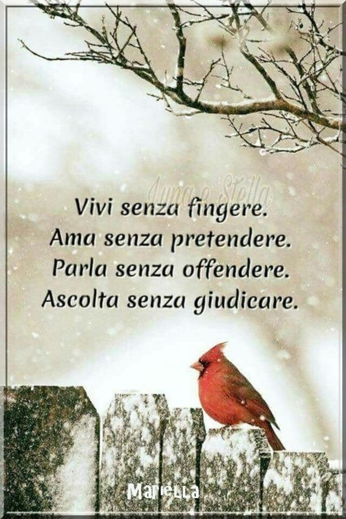 Frasi sagge sulla vita