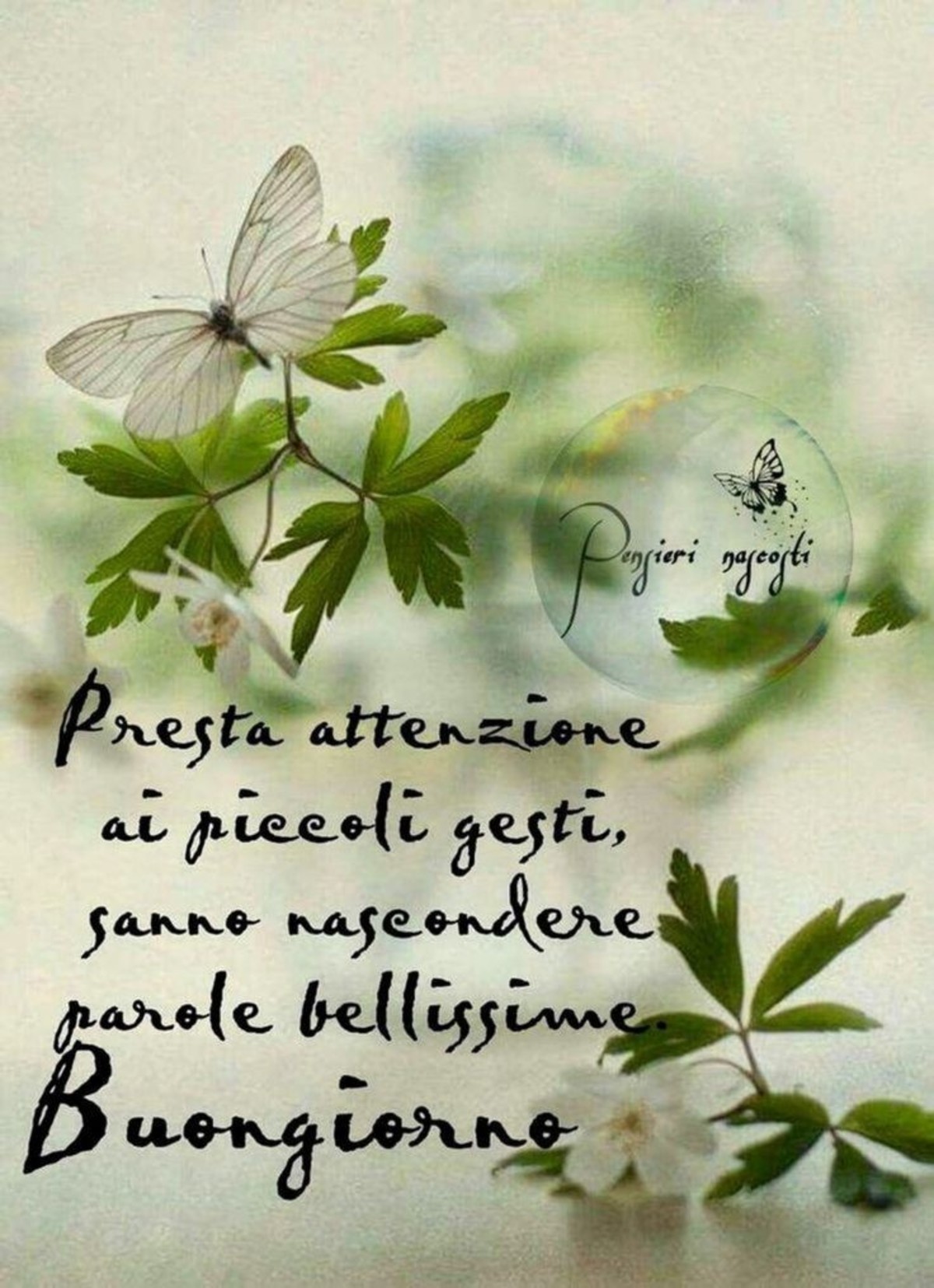 Frasi stupende del buongiorno (4)