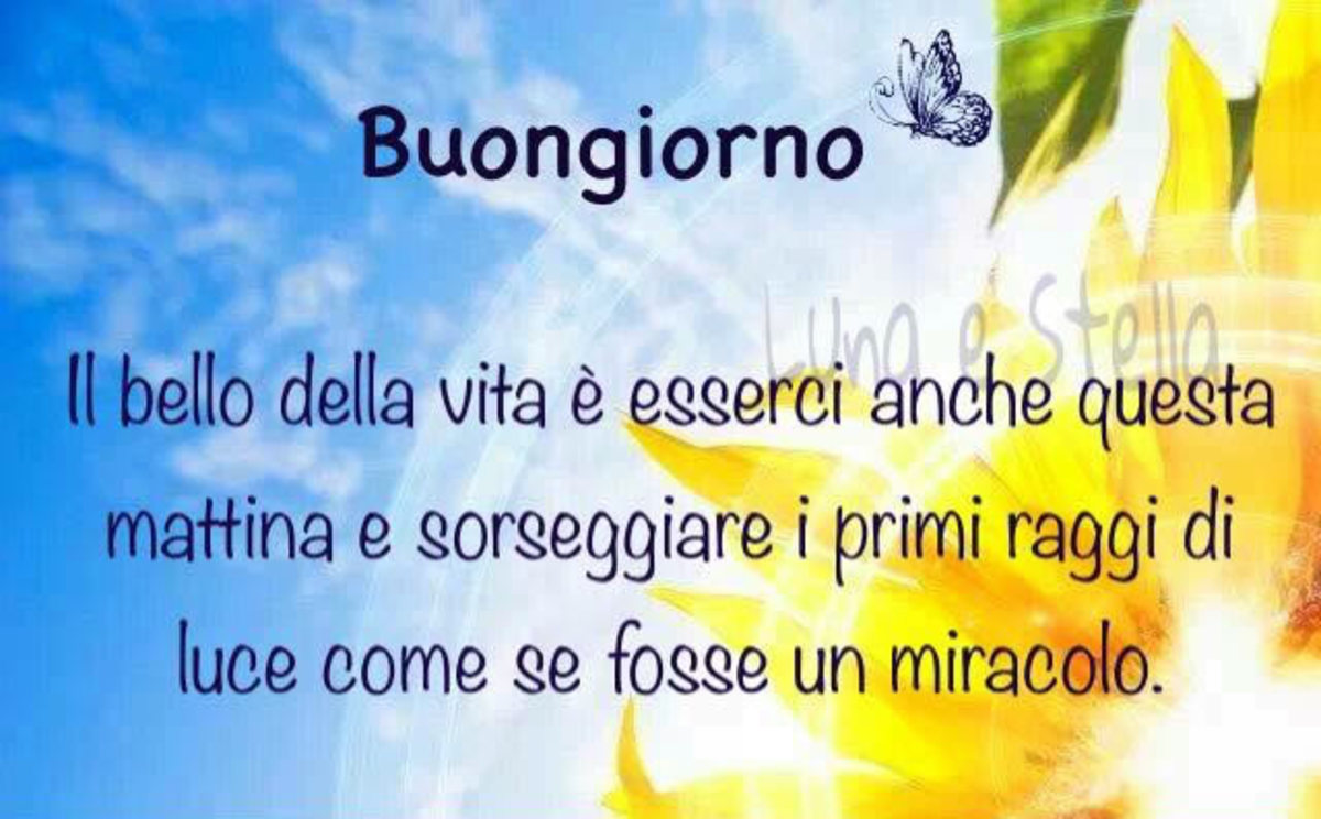 Frasi stupende del buongiorno (7)