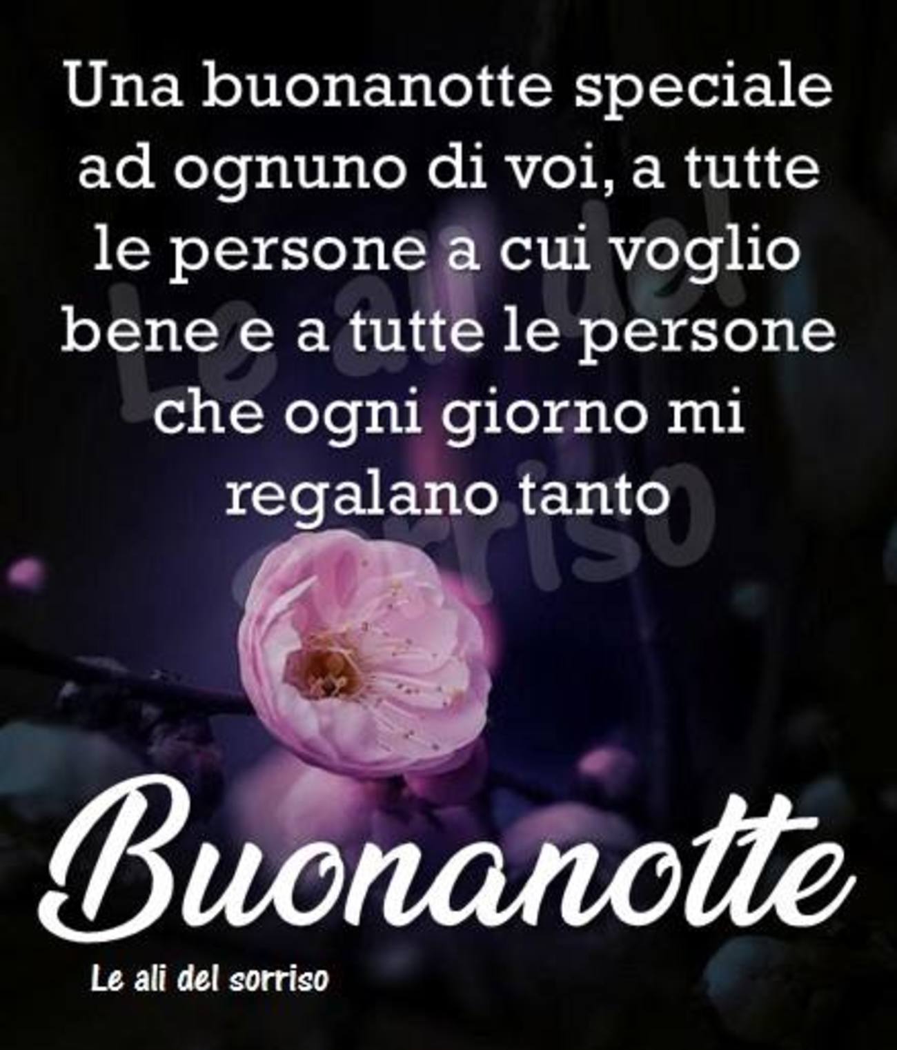 Frasi stupende della buonanotte (3)