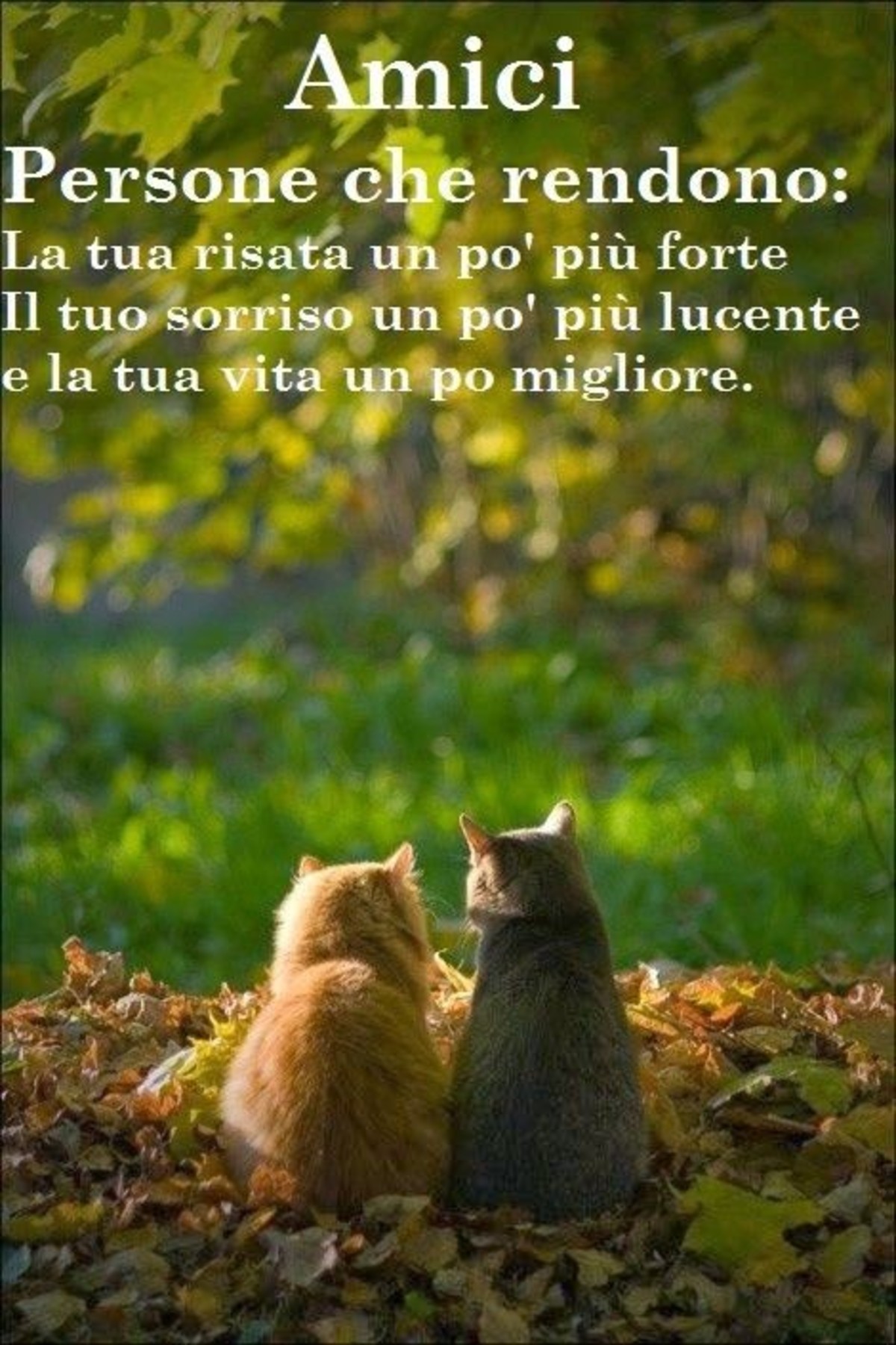 Frasi sugli amici