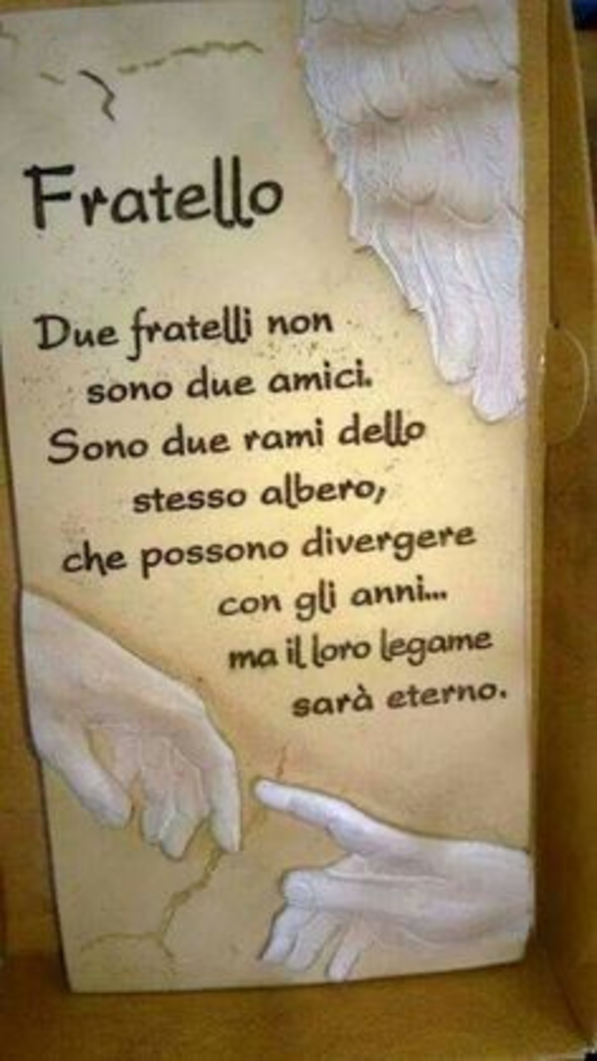 Frasi sui fratelli