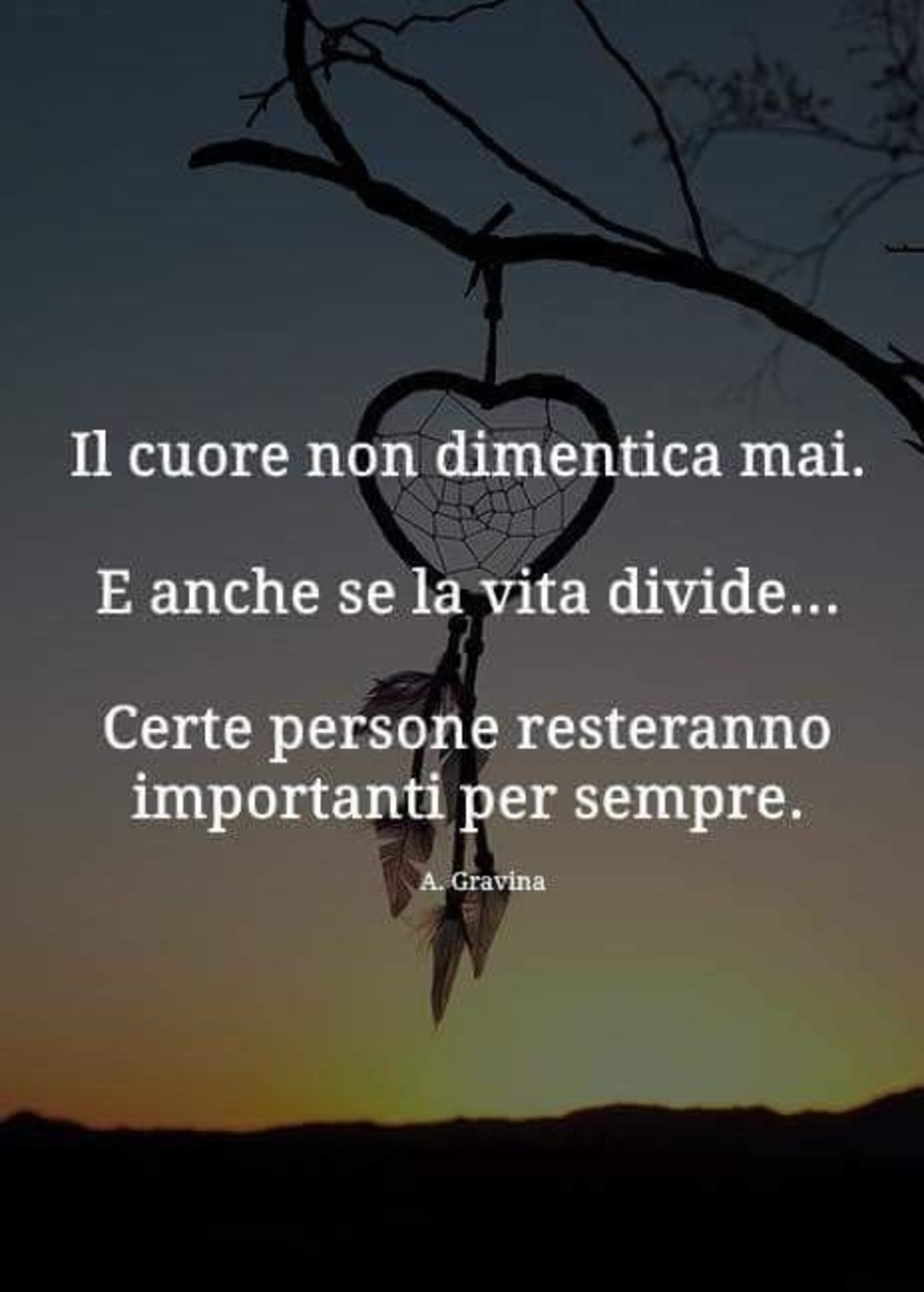 Frasi sul cuore (2)