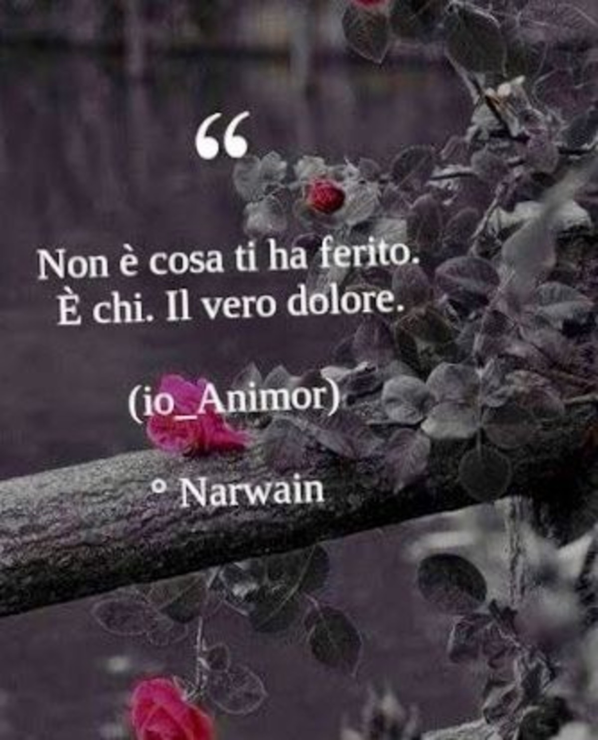 Frasi sul dolore (2)