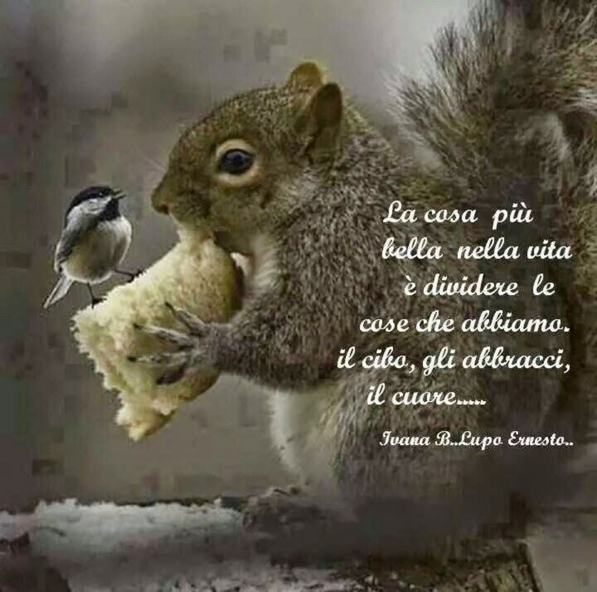 Frasi sulla condivisione