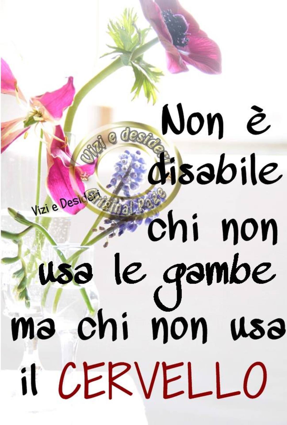 Frasi sulla disabilità