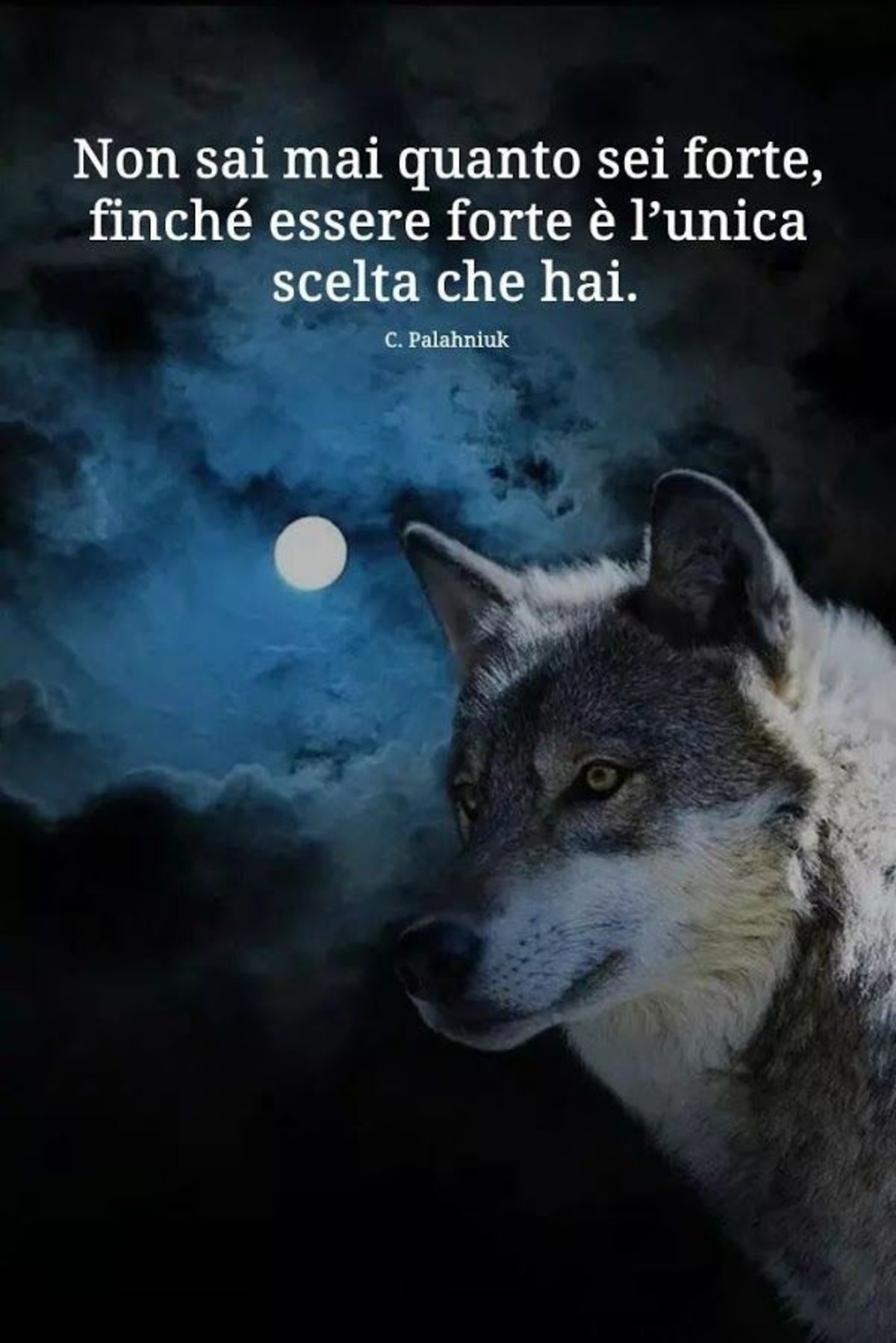 Frasi sulla forza