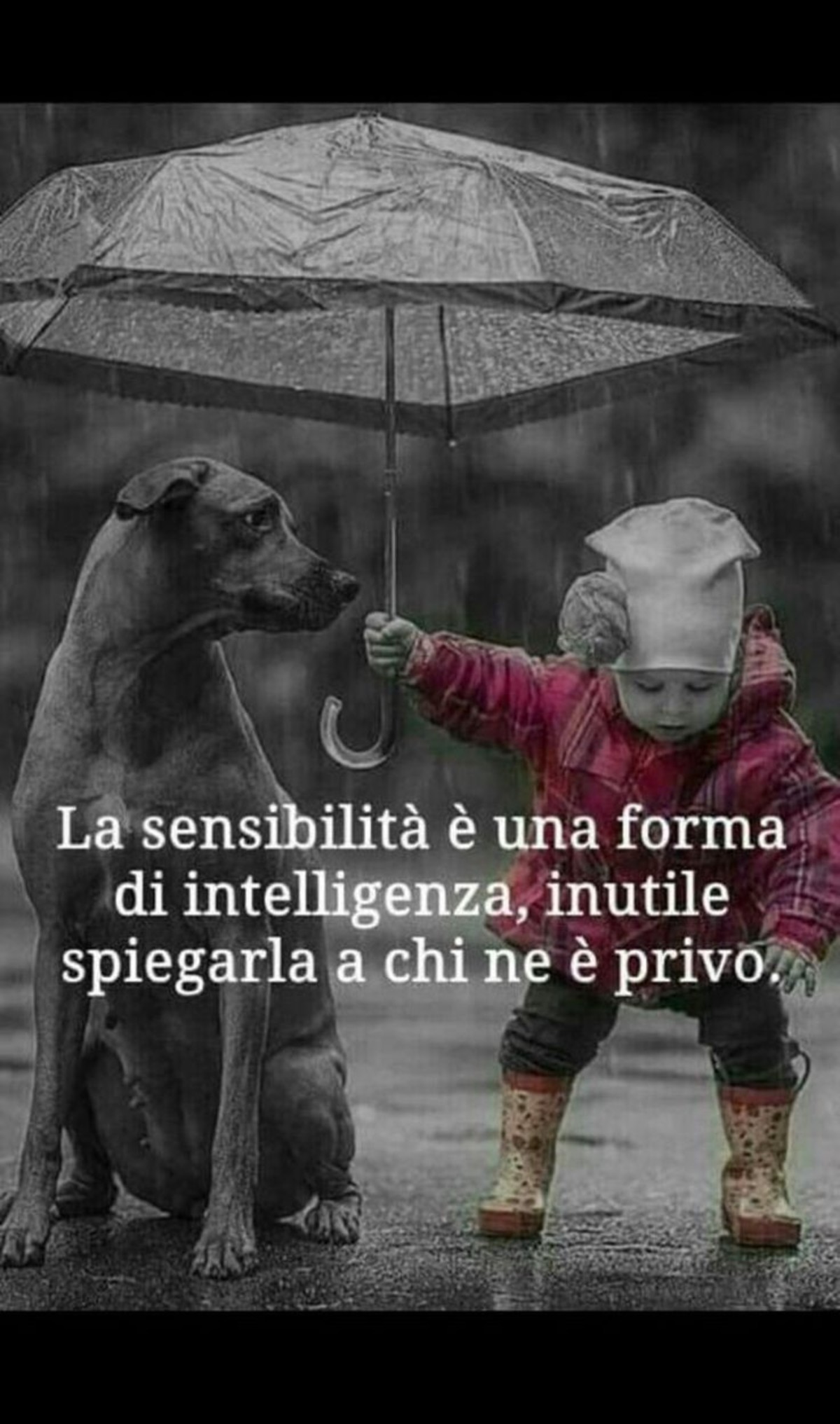 Frasi sulla sensibilità