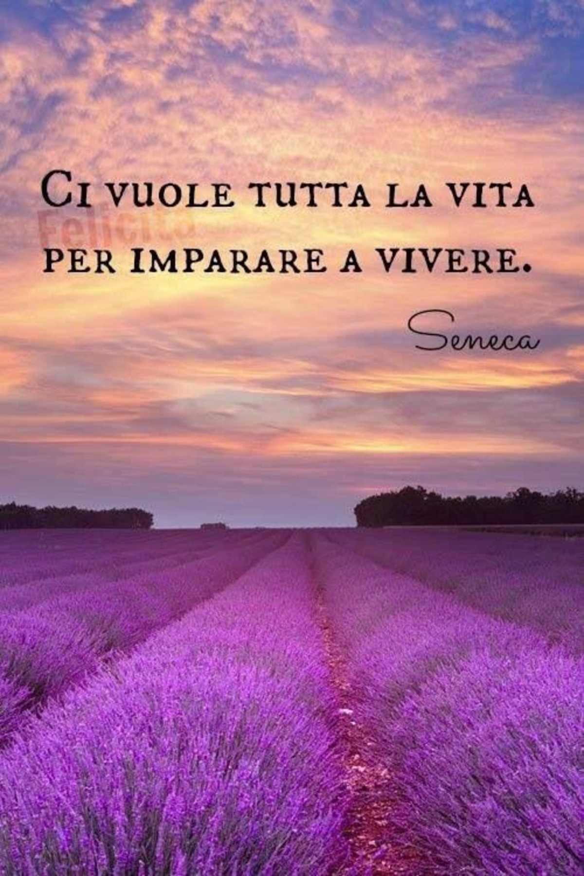 Frasi sulla vita (4)