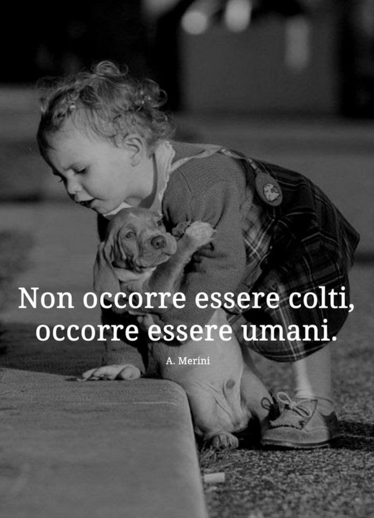 Frasi sull'umanità (2)