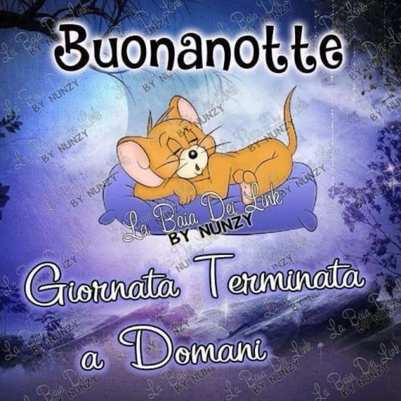 Immagini buonanotte a domani belle (2)