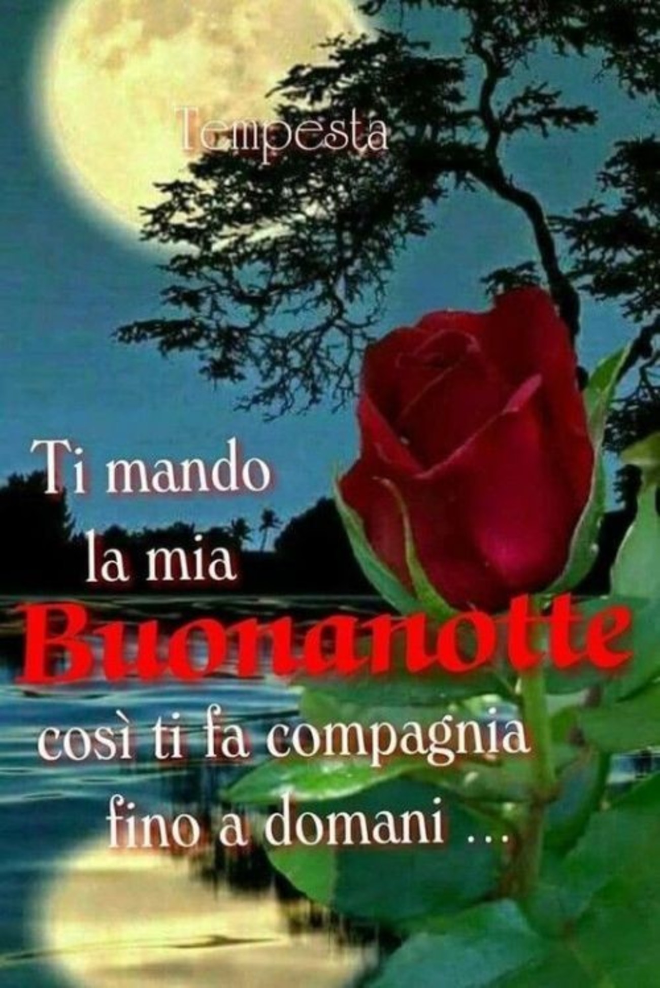 Immagini buonanotte a domani belle (3)