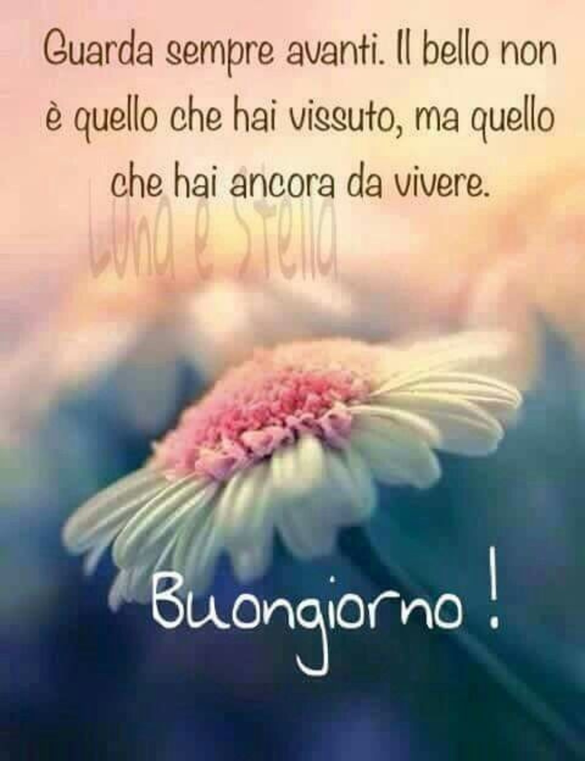 Immagini buongiorno da mandare (1)