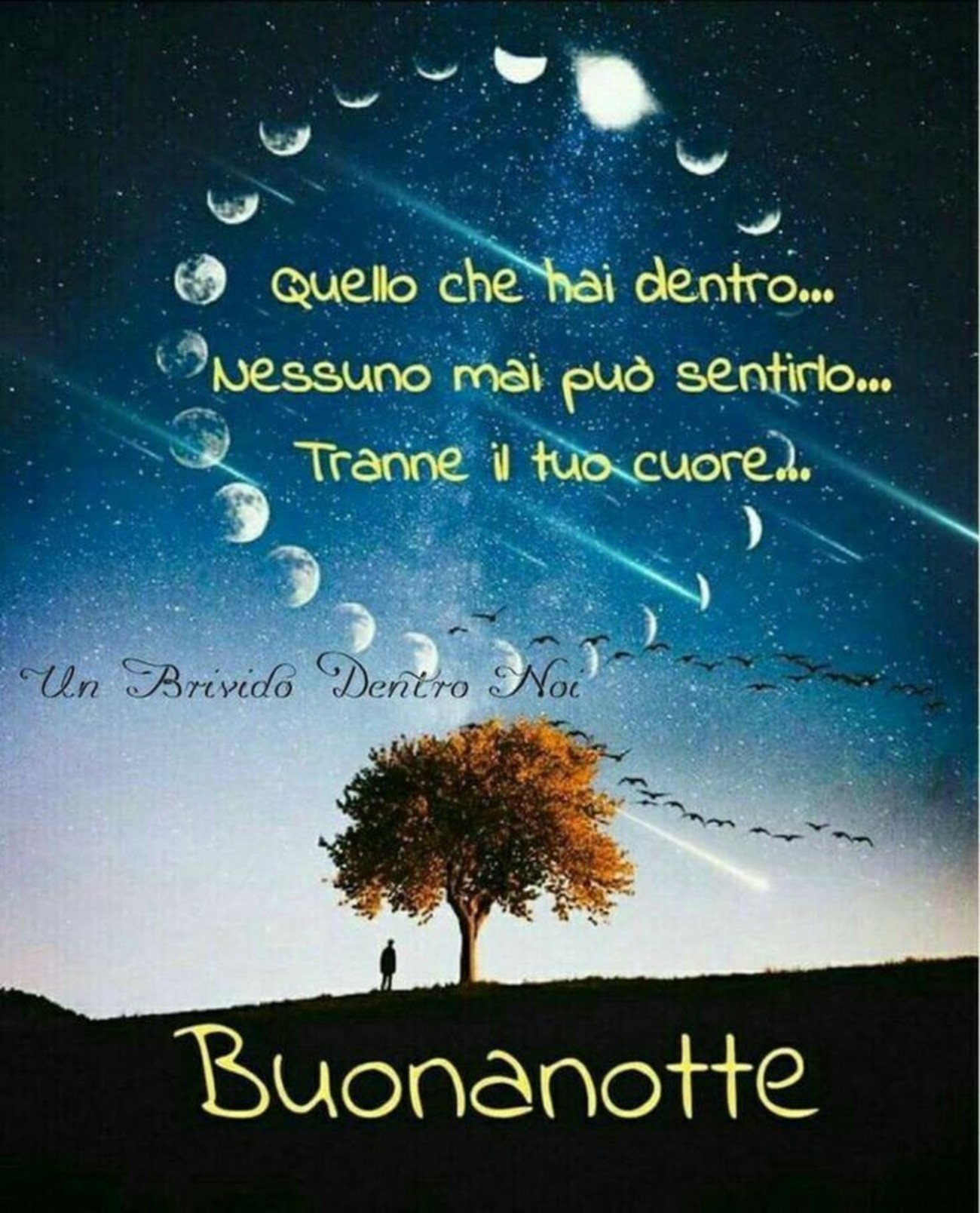 Immagini gratis buonanotte (2)