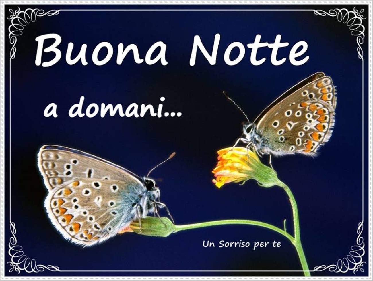 Immagini nuove buonanotte (2)