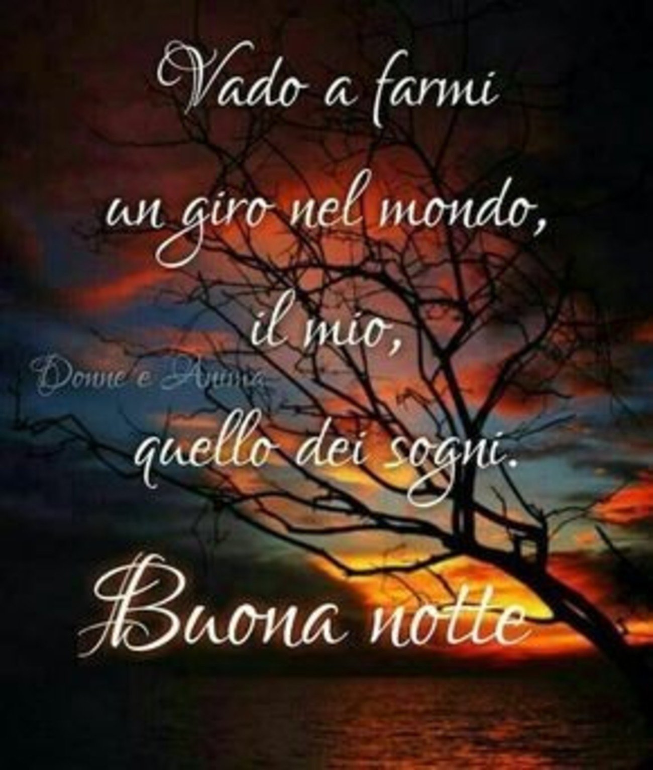 Immagini nuove con belle frasi buonanotte (4)