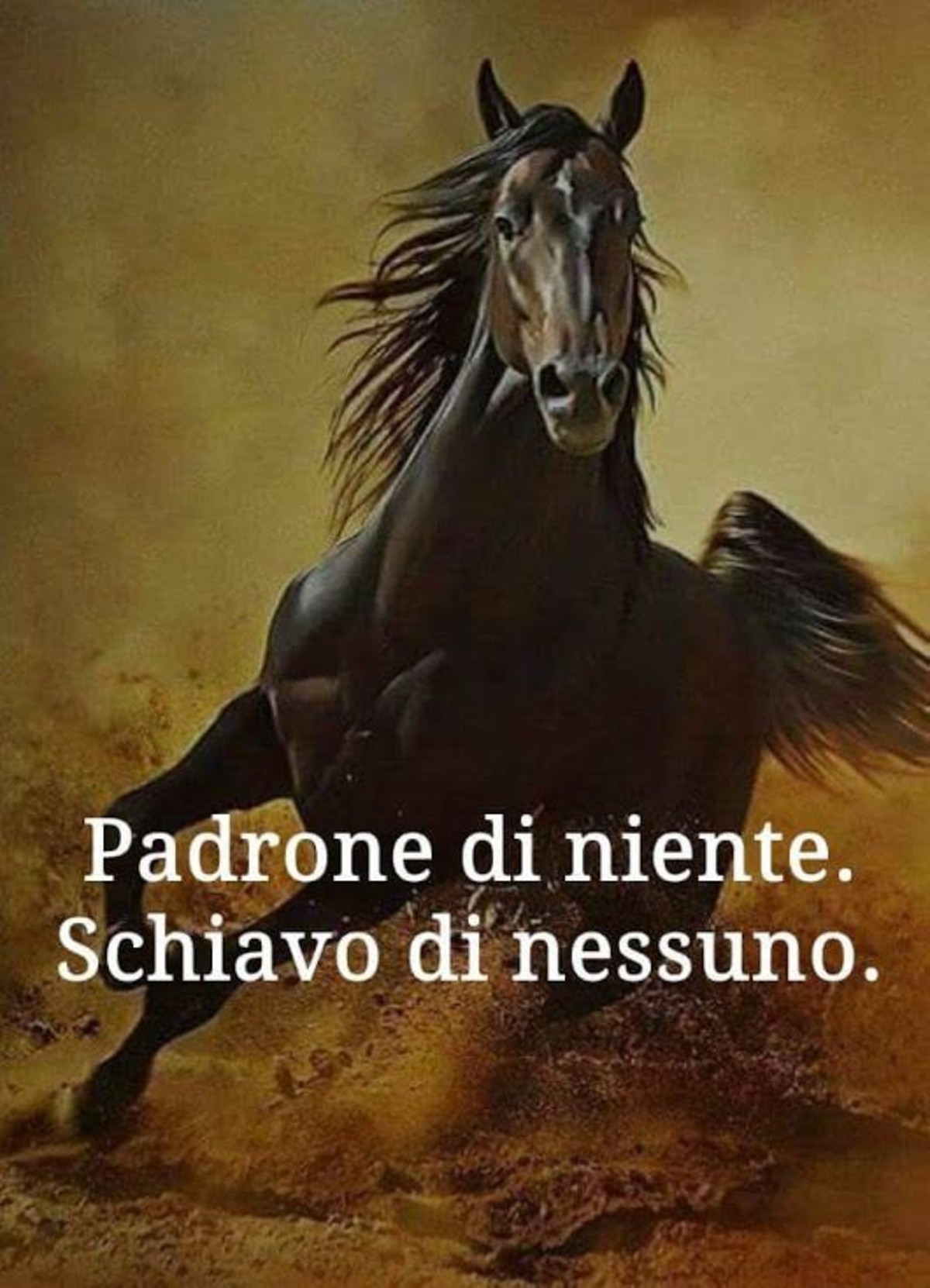 Padrone di niente, schiavo di nessuno