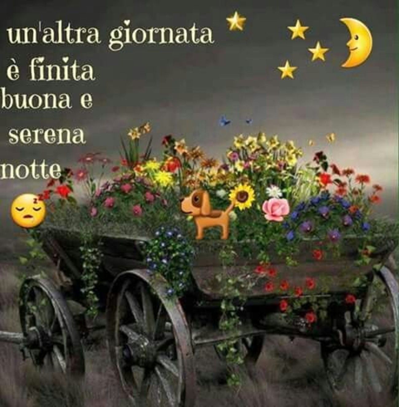 Serena notte a tutti