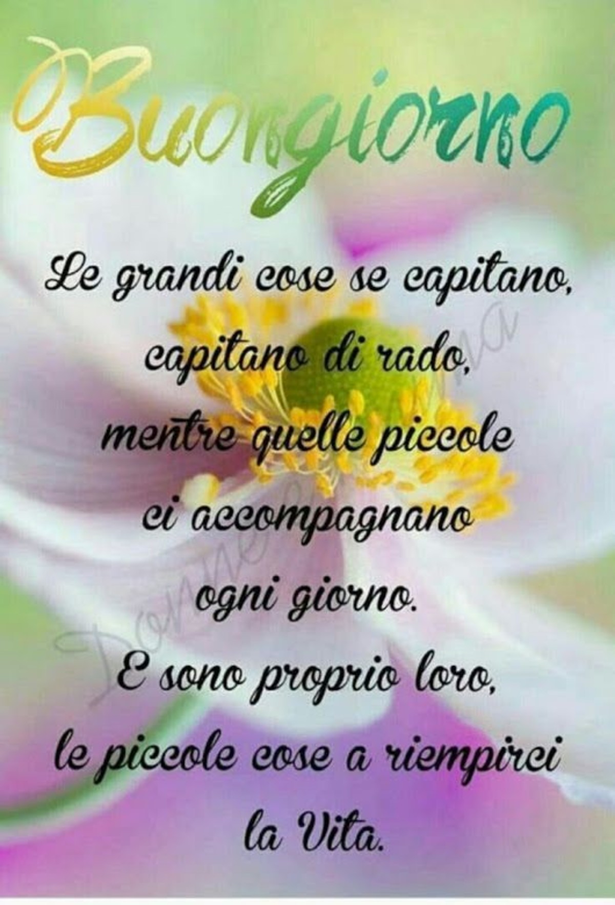 immagini buongiorno con belle frasi