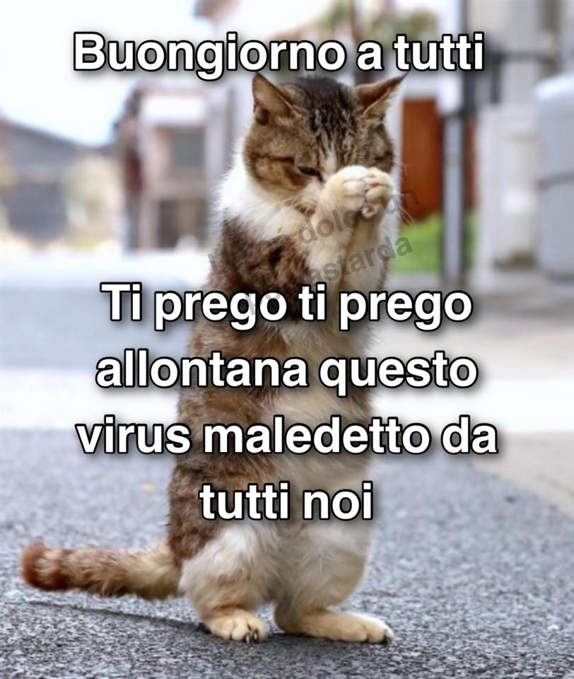 Buongiorno di speranza (15)