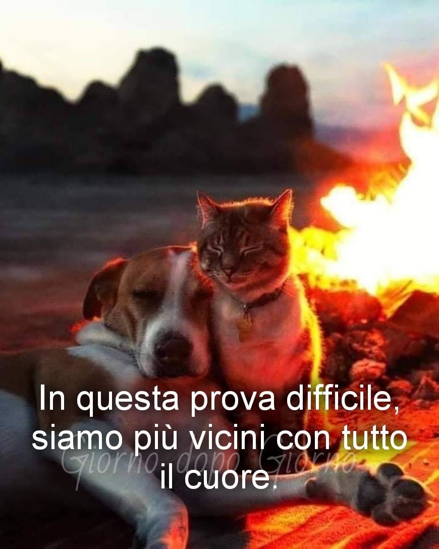 Citazioni Andrà Tutto Bene (1)
