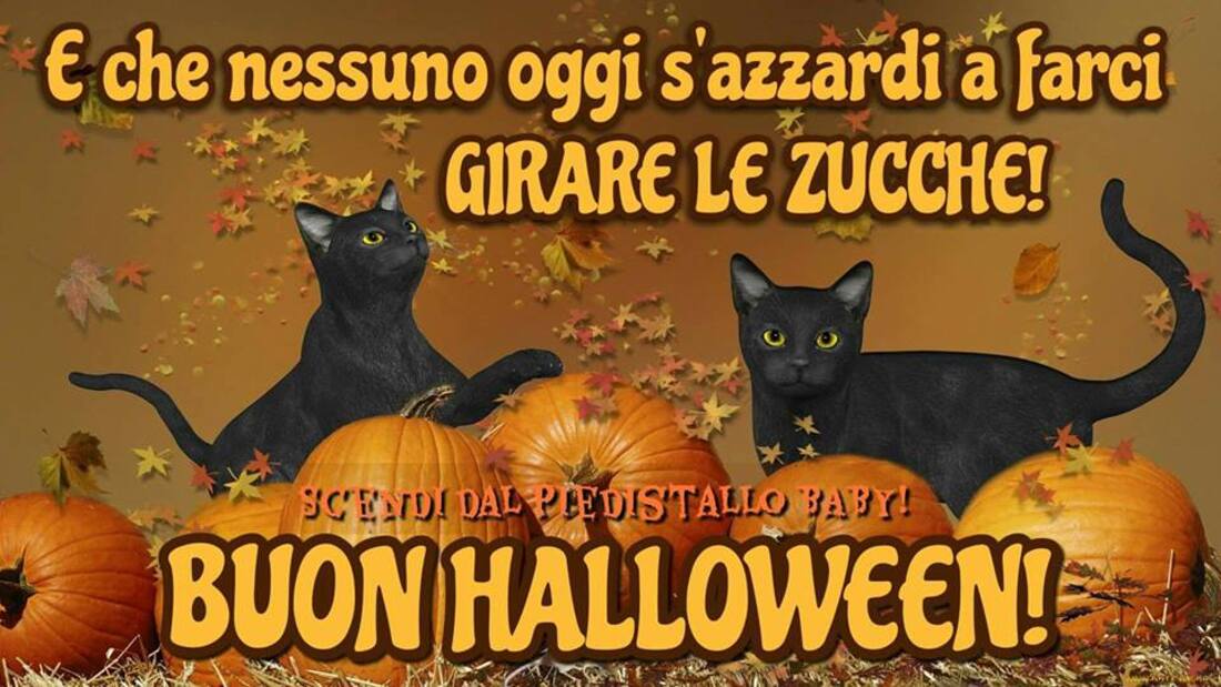 Buongiorno e Buon Halloween (1)