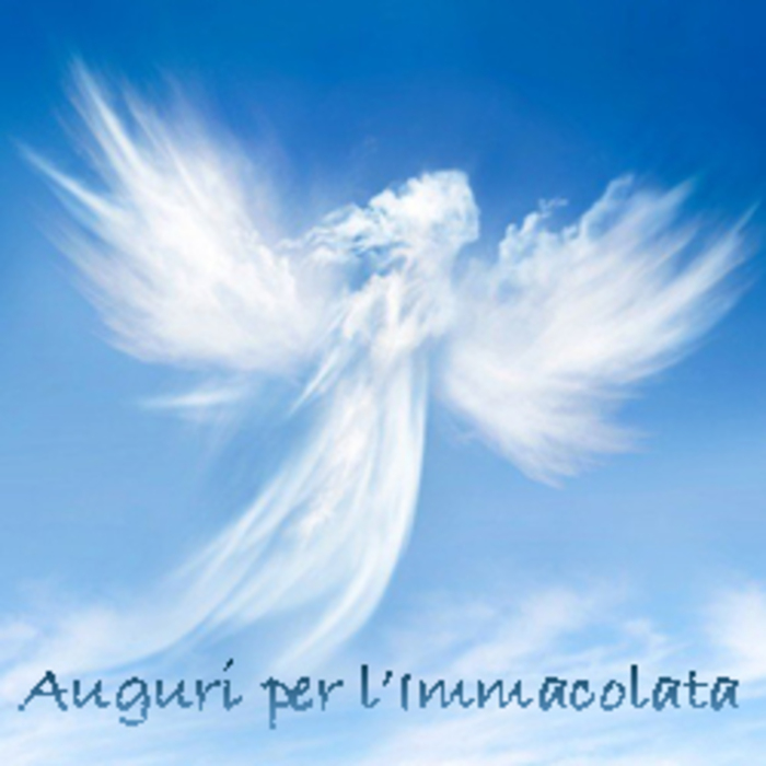 Auguri per l Immacolata