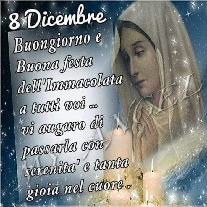 Buona Festa dell Immacolata (3)