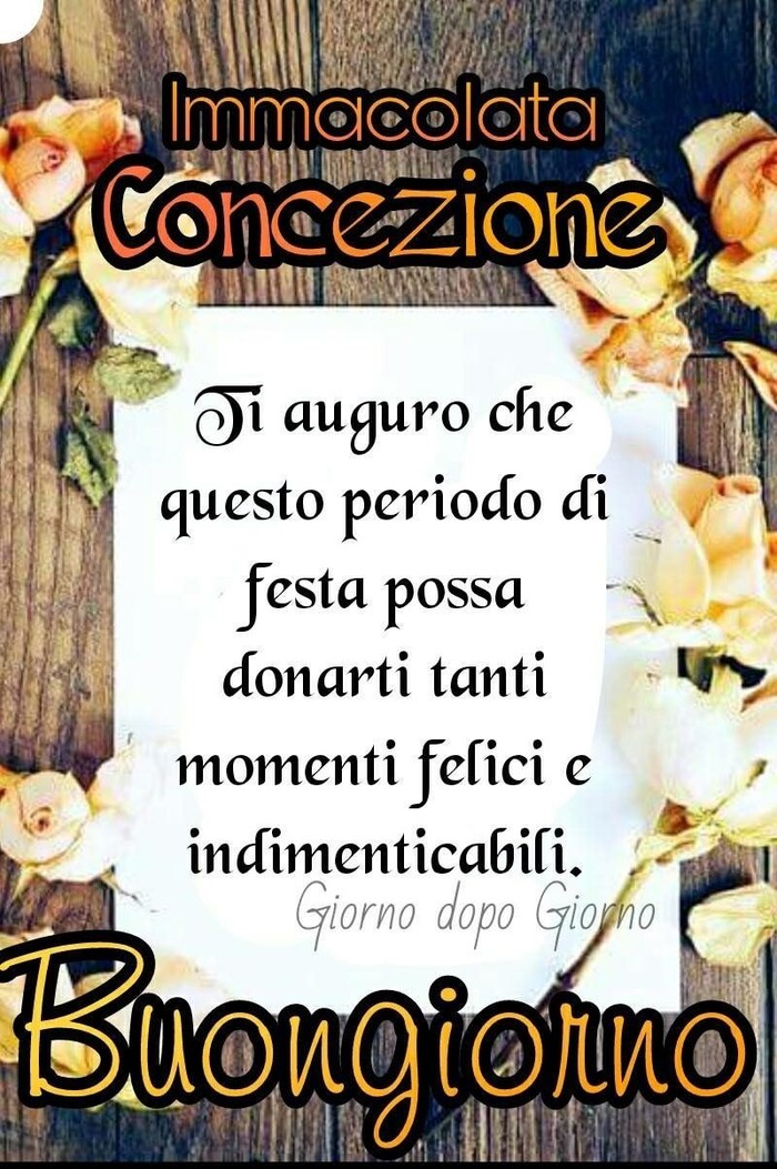 Buona Festa dell Immacolata (4)