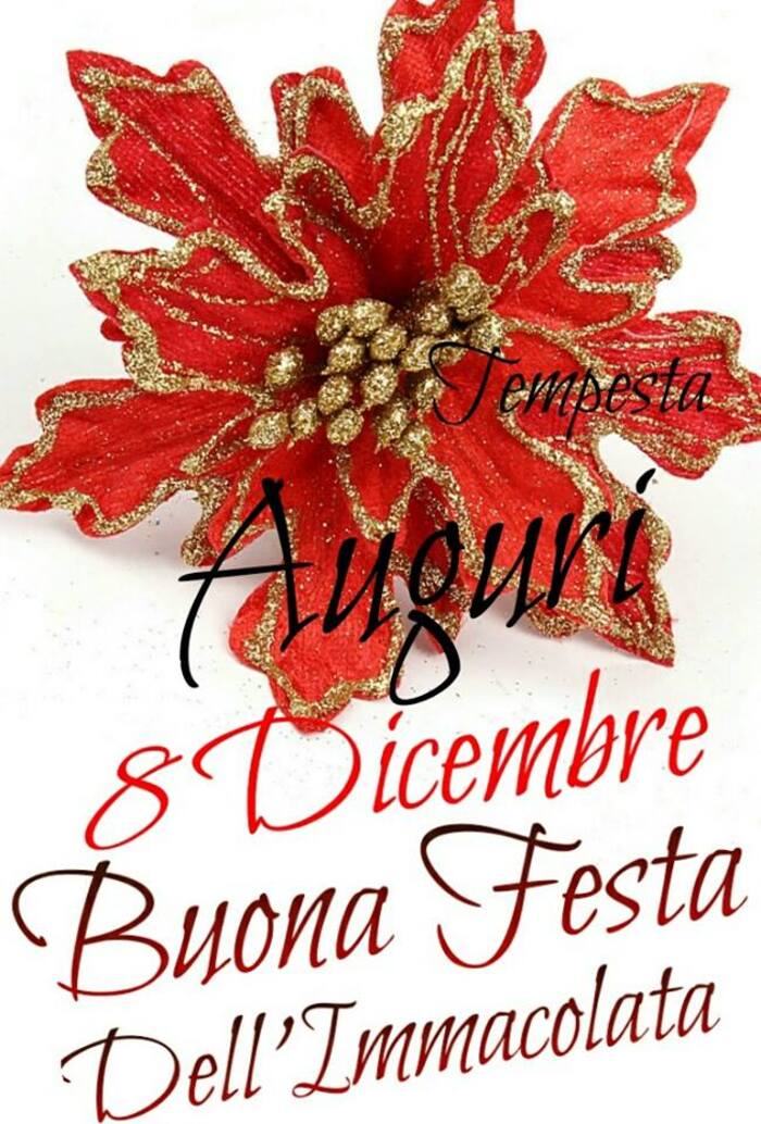 Buona Festa dell Immacolata (5)