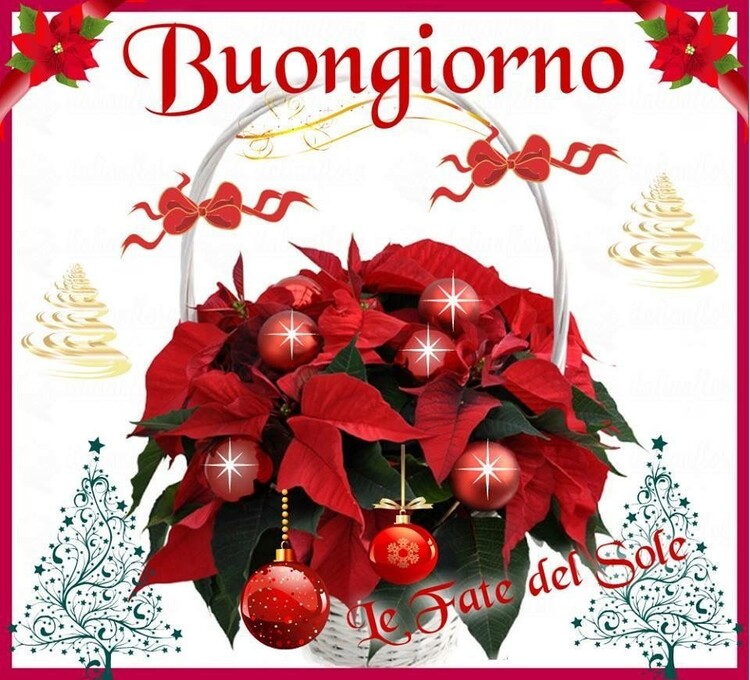 Buongiorno Natale (4)
