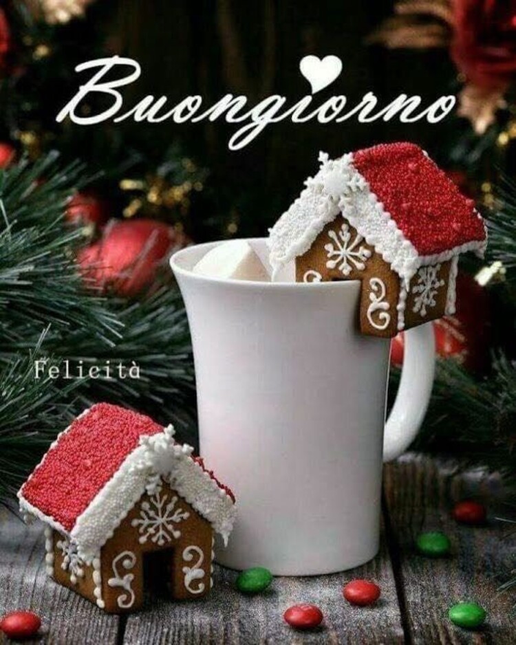 Buongiorno Natale (5)