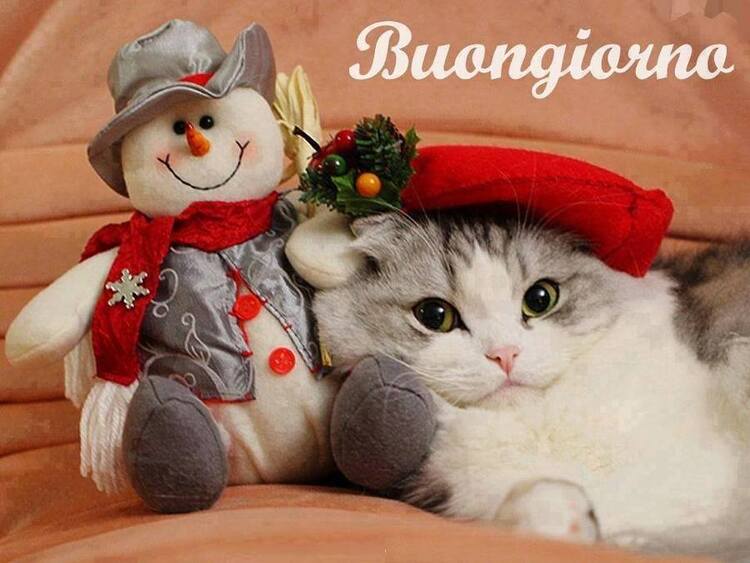 Buongiorno Natale (9)