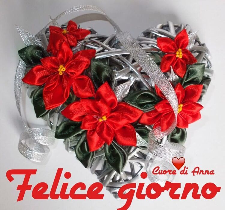 Buongiorno Stella di Natale (2)