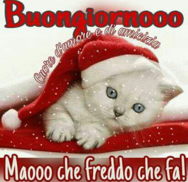 Foto natalizie per dire Buongiorno (2)