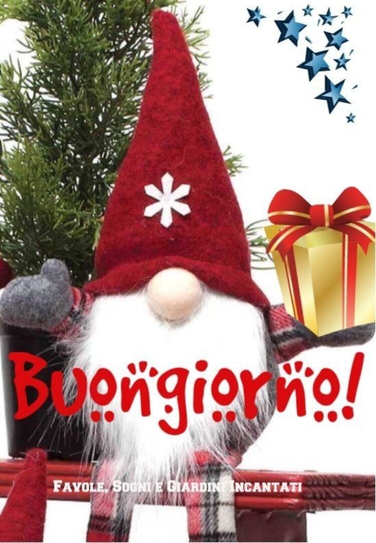 Foto natalizie per dire Buongiorno (5)
