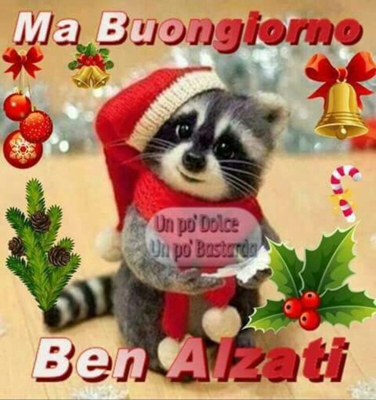 Ma Buongiorno ben alzati